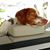 Leann Briggle Daugherty's profile image