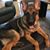 Renee Boyette's profile image