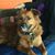 Linda McClelland's profile image