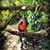Marci Jory's profile image