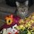 Kathleen Stewart's profile image