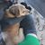 Carrie Kilbourn Pachal's profile image