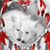 Carol Lukasik's profile image