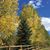 Judy Tersteeg's profile image