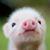 Ann Wingate's profile image