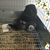 Pattie Rees's profile image