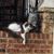 Lea Thompson's profile image