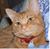 Susan Fleshood Doby's profile image