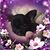 Rene Johnston's profile image