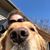 Gigi Claire's profile image
