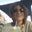 Hava Johnston Realtor's profile image