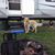 Gayle Cherry Conrad's profile image