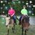 Shelia Medlin Smith's profile image