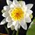 Lori Anne Brown's profile image