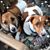 Sue Dexter Salley's profile image
