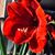 April Bigham Weldy's profile image
