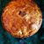 Suzanne Alleca's profile image