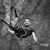 Corentin Catel's profile image