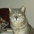 Cari Holland's profile image
