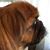 Cristi James Dawson's profile image