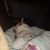 Darleen Bettencourt's profile image