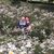 Fabiano Vicente's profile image