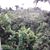 Elizabeth Olivares's profile image