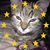 Matthew Doherty's profile image