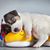 Sallie Good's profile image