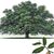 Wanda Coats Schenk's profile image