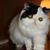 Betty Seawell's profile image