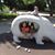 Noelle Naimi's profile image