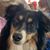 Elaine Simpson's profile image