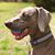Valerie Harmon Bush's profile image