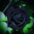 Carmencita Irizarry Pereira's profile image