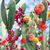Terri Darling Coan's profile image