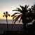 Deb Martin's profile image