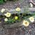 Cindy Gallup's profile image