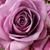 Dale Suydam's profile image