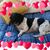 Kathy Muldoon Kattestad's profile image