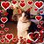 Sharon Bernard's profile image