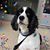 Sandy Singleton's profile image