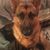 Tanya Gwaltney Ray's profile image