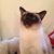 Kathleen Thursby's profile image