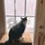 Ann Gilboy-Ellis's profile image