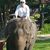 Elaine Regier Macfarlane's profile image