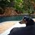 D.j. Halligan's profile image
