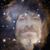Ken Hall's profile image