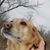 Jenny Mazich Berg's profile image