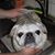 Toni White-Vorst's profile image